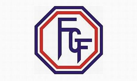 FGF lança pesquisa para melhorar serviços no Campeonato Goiano