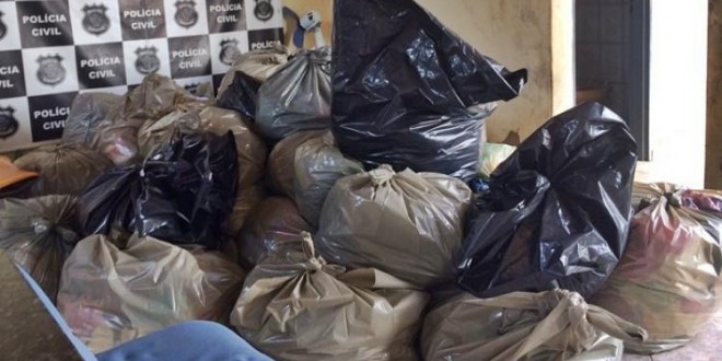 Mais de 300 mil em roupas falsificadas são apreendidas em Jaraguá