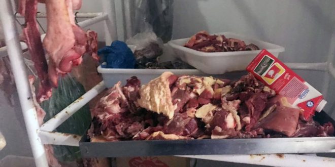 Operação apreende mais de 1,4 tonelada de carne clandestina em Bela Vista de Goiás