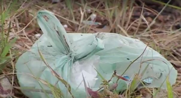 Corpo de bebê é encontrado dentro de sacola plástica em Aparecida de Goiânia