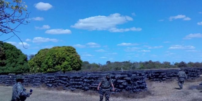 Fazendeiros são multados em mais de R$ 1 milhão por retirada ilegal de madeira em São Miguel do Araguaia