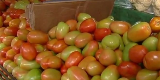 Preço do tomate aumenta 178% em Goiás no primeiro trimestre, diz instituto