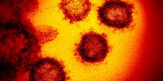 Número de casos confirmados de coronavírus em Goiás chega a 12, diz Secretaria de Saúde
