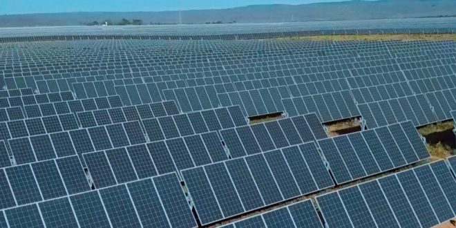 Empresa prepara usinas fotovoltaicas para Goiás e vê Estado como fronteira de energia