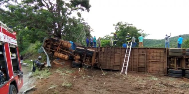 Motorista morre após caminhão carregado com bois tombar na GO-241, entre Campinaçu e Formoso