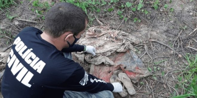 Ossada humana encontrada em fazenda em Niquelândia pode  ser de idosa desaparecida