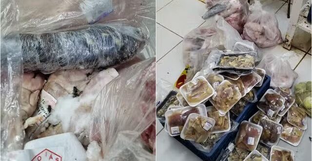 Fiscais do Procon encontram quase 100 kg de carnes podres com moscas e baratas em supermercado de Goiânia