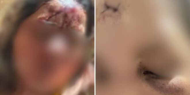 Cantor sertanejo é preso após bater a cabeça da namorada contra a parede durante agressão, diz polícia