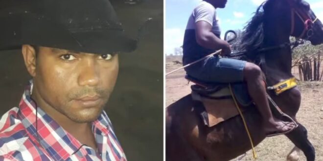 Vaqueiro morre enforcado ao tentar laçar boi em Niquelândia