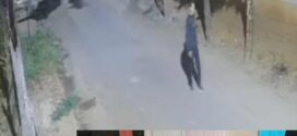 Moto furtada em Jaraguá é recuperada em Indiara; suspeito é preso em Rio Verde