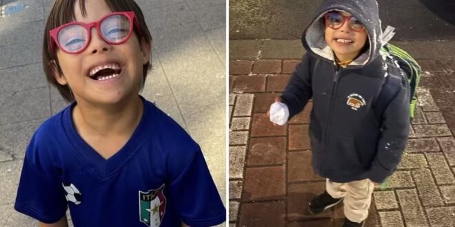 Menino de 7 anos que morreu atropelado por ônibus na Europa amava brincar e era apaixonado por time de futebol: ‘Presente de Deus’