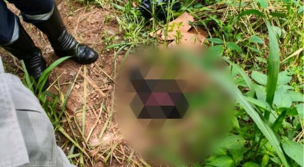 Feto é encontrado em área rural de Rianápolis e caso será investigado pela Polícia Civil