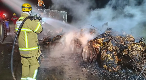 Caminhão com 53 bezerros pega fogo após acidente na GO-112, em Goiás