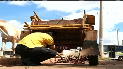 Prefeitura manda emplacar todas as carroças de Valparaíso de Goiás