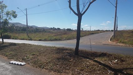 dois marginal colocou fogo em arvores no Bairro Negrinho Carrilho provocando crime Ambiental