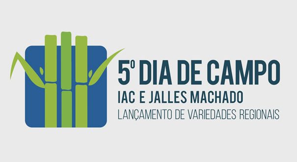 Jalles e Instituto Agronômico de Campinas lançam novas variedades de cana-de-açúcar nesta quinta