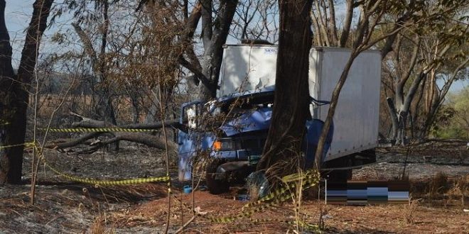 Homem morre após caminhão atingir árvore na 153 município de Nova Glória