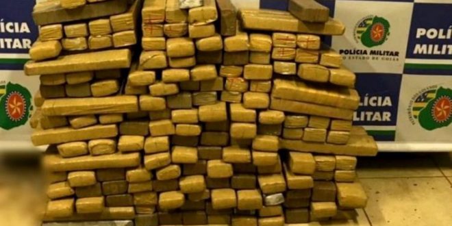PM apreende cerca de 190 kg de maconha na GO-050