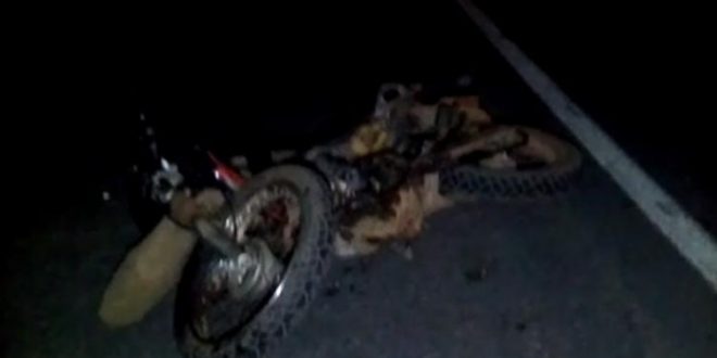 Motociclista morre após bater de frente com carreta na BR-153, em Estrela do Norte