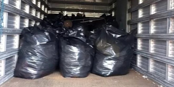 Polícia Civil apreende 7.200 peças de roupas falsificadas em Jaraguá
