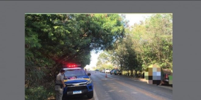 PRE faz apreensões de armas, munições e CNH falsa na GO-080 entre Jaraguá e Goianésia