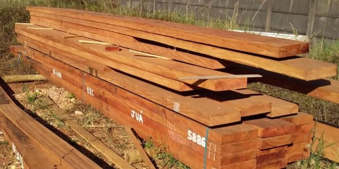 Polícia investiga suposta venda ilegal de madeira apreendida pelo Ibama e doada à Prefeitura de Rubiataba
