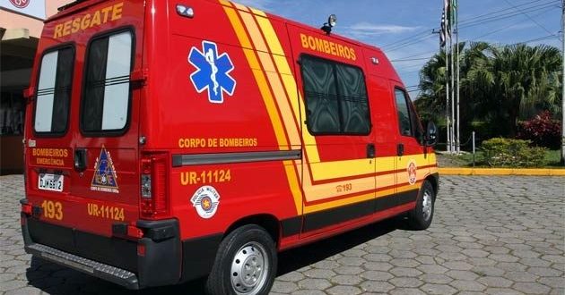 Corpo de Bombeiros é acionado para atender vítima de colisão entre carro e vaca na GO-338