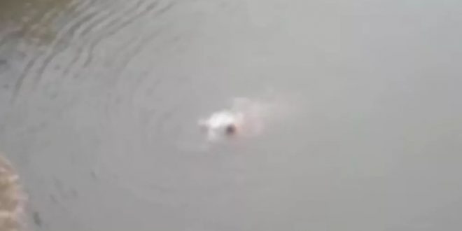 Homem que não sabia nadar desaparece após pular de ponte em rio de Rio Verde;