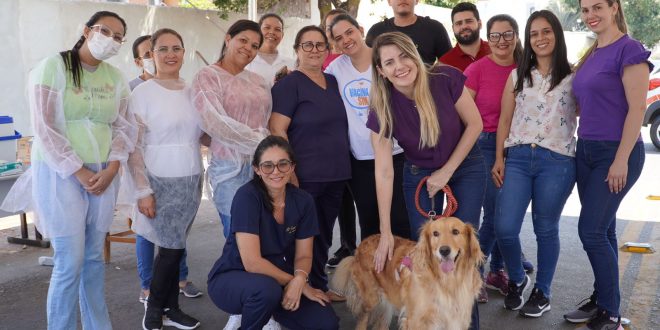 8,1 mil cães e gatos vacinados no Dia D de Vacinação contra a Raiva em Goianésia