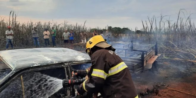 Motorista morre queimado dentro de carro durante incêndio em canavial de Palmeiras de Goiás, dizem bombeiros