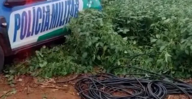 Trio suspeito de furtar fios de irrigação é morto durante confronto com a PM, em Palmeiras de Goiás