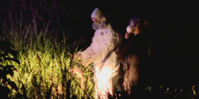 Chacina no DF: veja os últimos desdobramentos e conheça os detalhes do crime