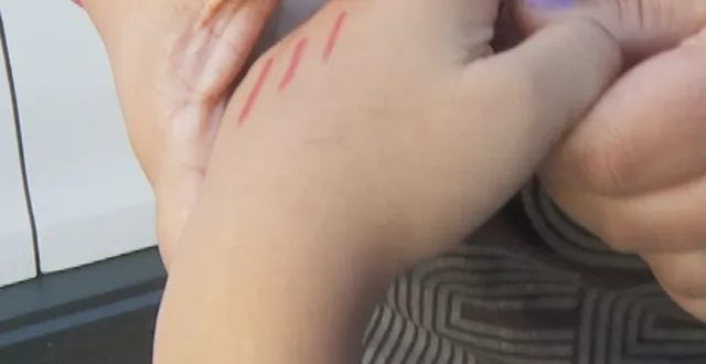 Monitor de escola é suspeito de agredir alunos em Goiânia