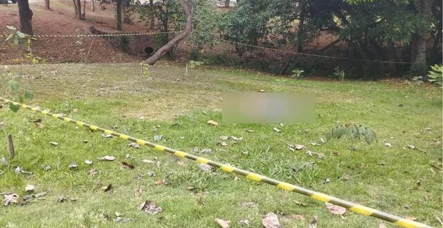 Jovem é encontrado morto após ser baleado no rosto em parque de Goiânia