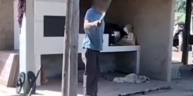Lavrador tenta matar a nora com golpe de podão, mas acerta a cabeça da neta de 9 anos que tentou defender a mãe, diz polícia
