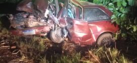 Acidente mata dois homens e criança na GO-164