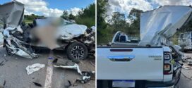 Mãe morre e filha fica ferida após acidente entre caminhonete e caminhão na BR-060, diz bombeiro