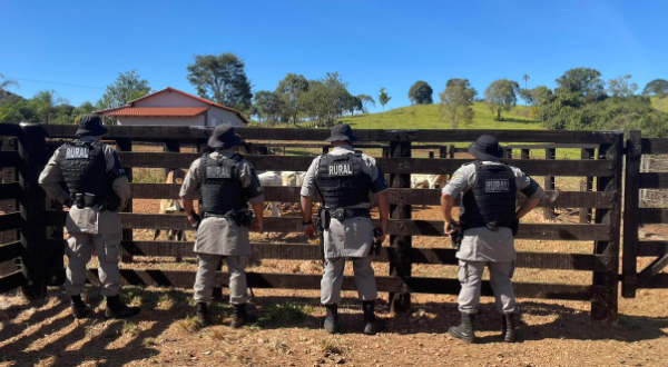 Batalhão Rural recupera 14 novilhas extraviadas em Rubiataba
