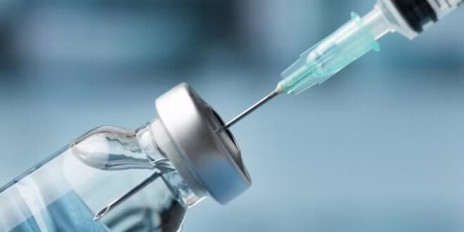 Vacina universal contra o câncer dá passo promissor em estudo com RNA mensageiro