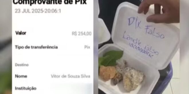 Lanchonete desconfia de golpe e envia pedra no lugar de sanduíche