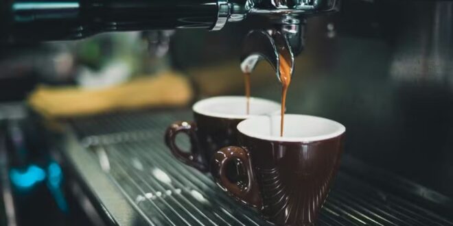 EUA dependem do café brasileiro, e substituição por outros países não seria simples, dizem especialistas