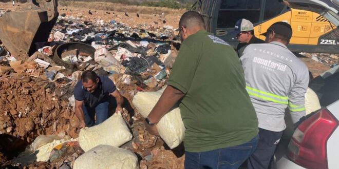 Fiscalização apreende quase meia tonelada de queijo ralado irregular em Goianésia