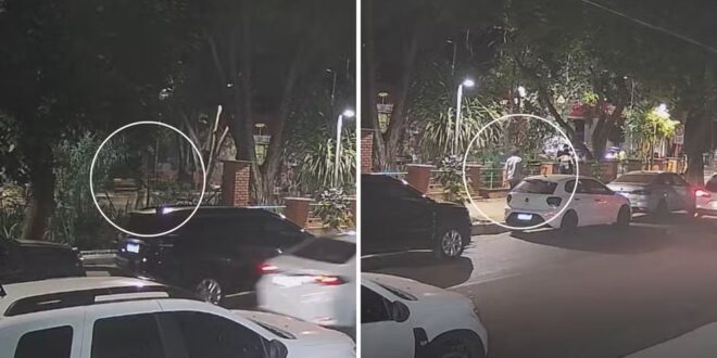Psicólogo foi filmado seguindo cantor e o matou com quase 50 facadas em bosque de Goiânia, diz delegado