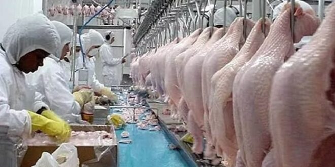 Governo de Goiás lança programa de crédito para impulsionar investimentos no estado