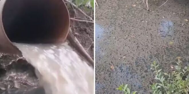 Córrego em Bela Vista de Goiás está contaminado com substância que pode causar câncer, e Saneago deve pagar multa de R$ 2,7 milhões