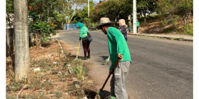 Prefeitura de Goianésia abre inscrições para contratar profissionais para atuar na limpeza urbana