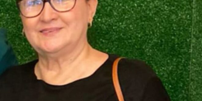 Mulher morre após se envolver em acidente na rodovia que liga Goianésia a Cirilândia