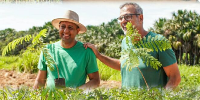 Prefeitura de promve o dia de planta Ambiental  500 mudas de árvores do Cerrado foram plantadas