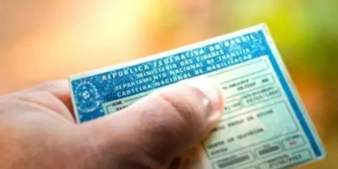 Detran vai começar a multar motoristas das categorias C, D e E com toxicológico vencido