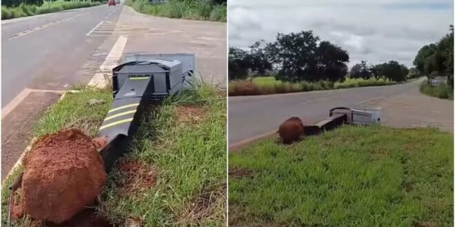 Radares são derrubados na GO-164